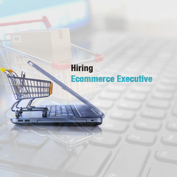 E Commerce Executive/ Manager